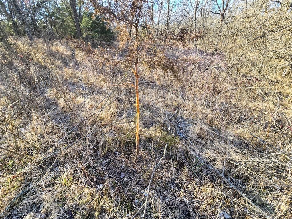 0000 Sodbuster Road Road — photo 49
