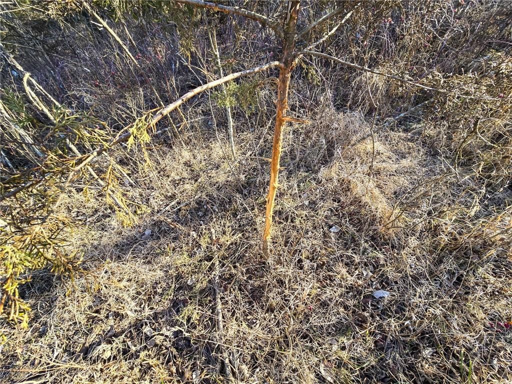 0000 Sodbuster Road Road — photo 50