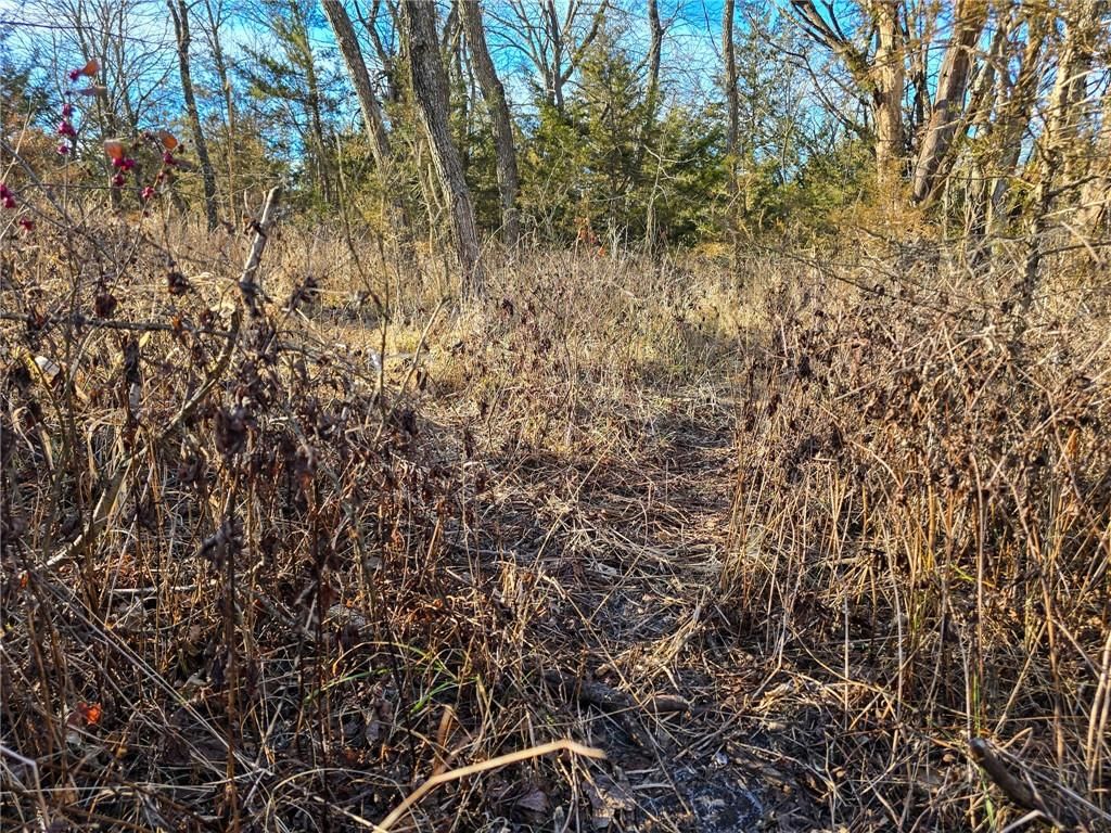 0000 Sodbuster Road Road — photo 53