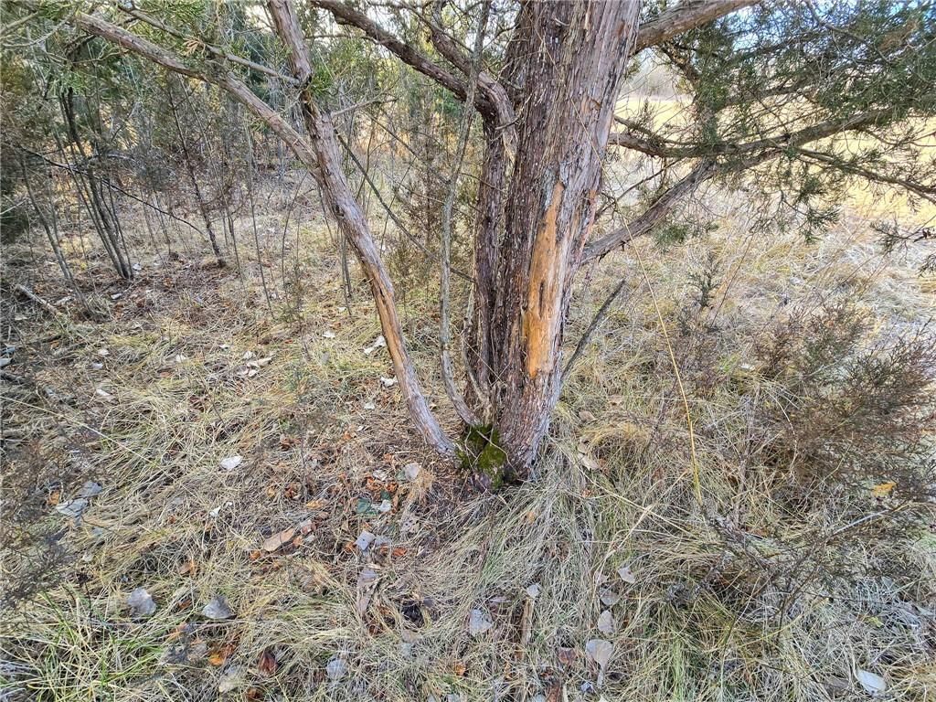 0000 Sodbuster Road Road — photo 60