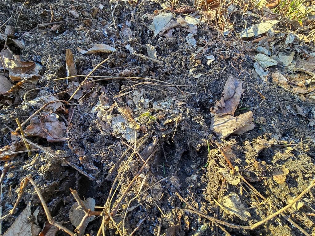 0000 Sodbuster Road Road — photo 65