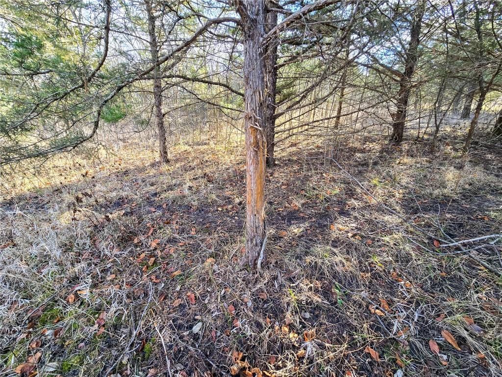 0000 Sodbuster Road Road — photo 66