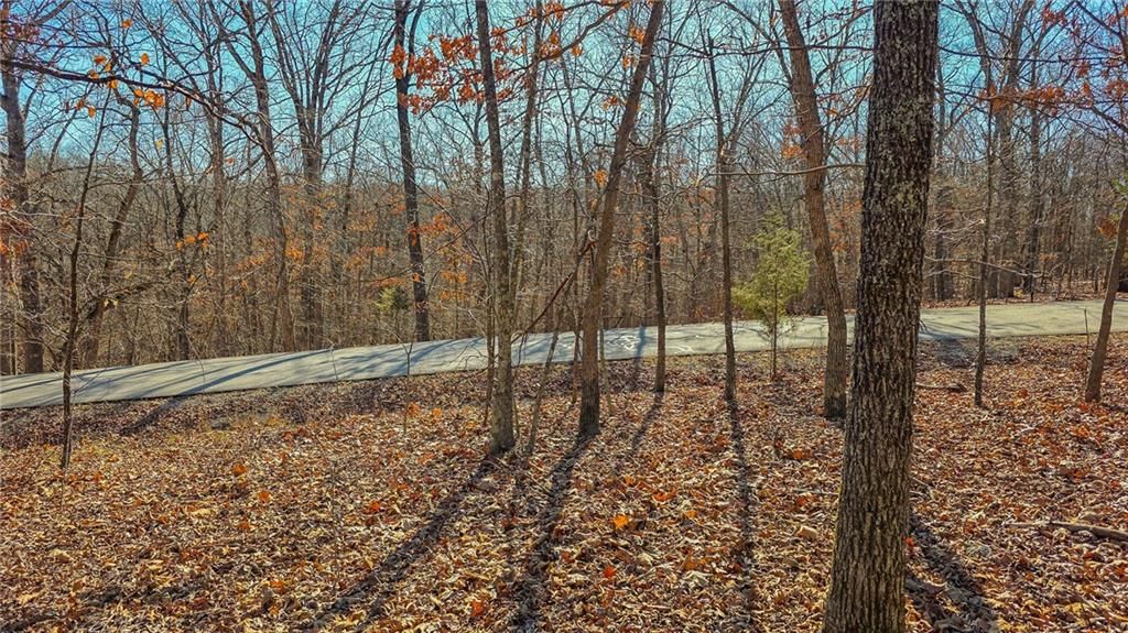 Lot #455 Grand View Drive — photo 5