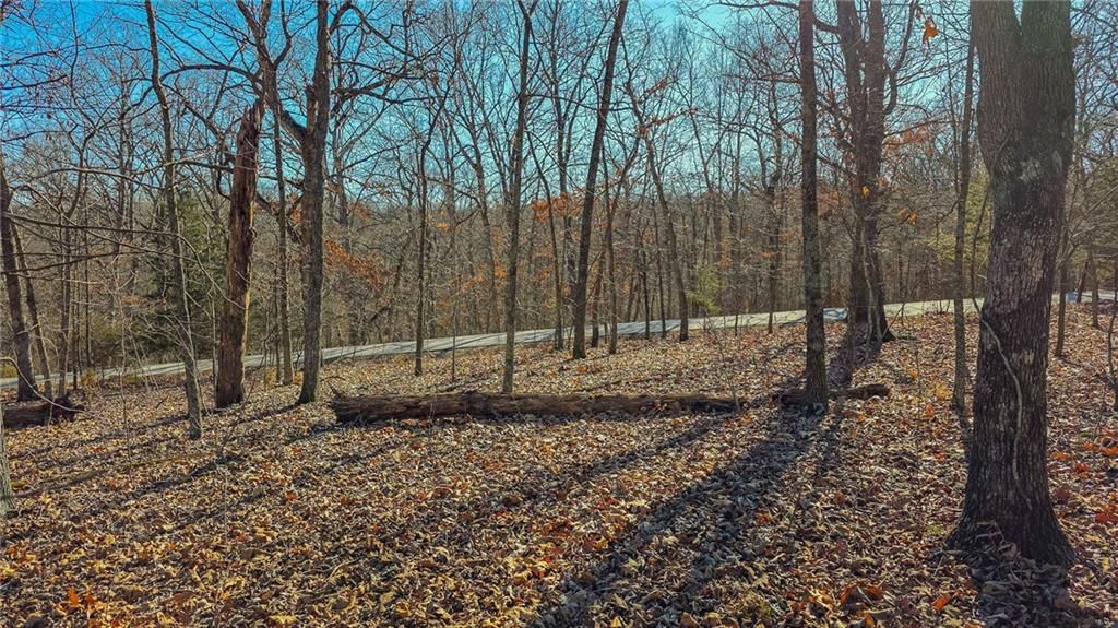 Lot #455 Grand View Drive — photo 6