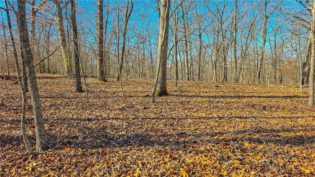 Lot #455 Grand View Drive — photo 7