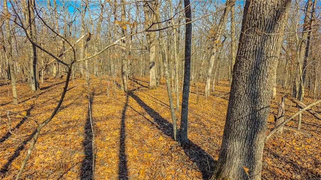 Lot #455 Grand View Drive — photo 8