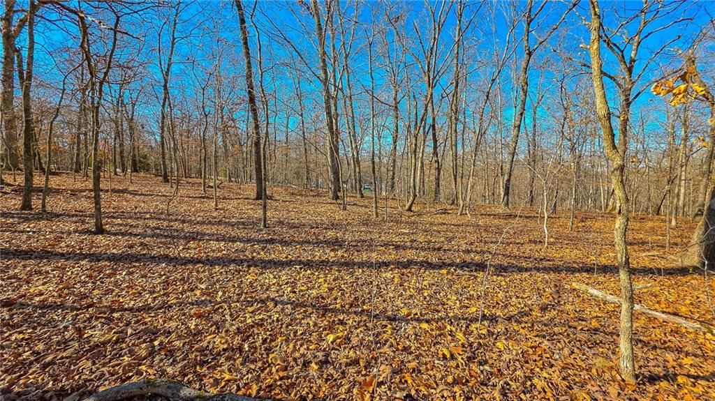 Lot #455 Grand View Drive — photo 9
