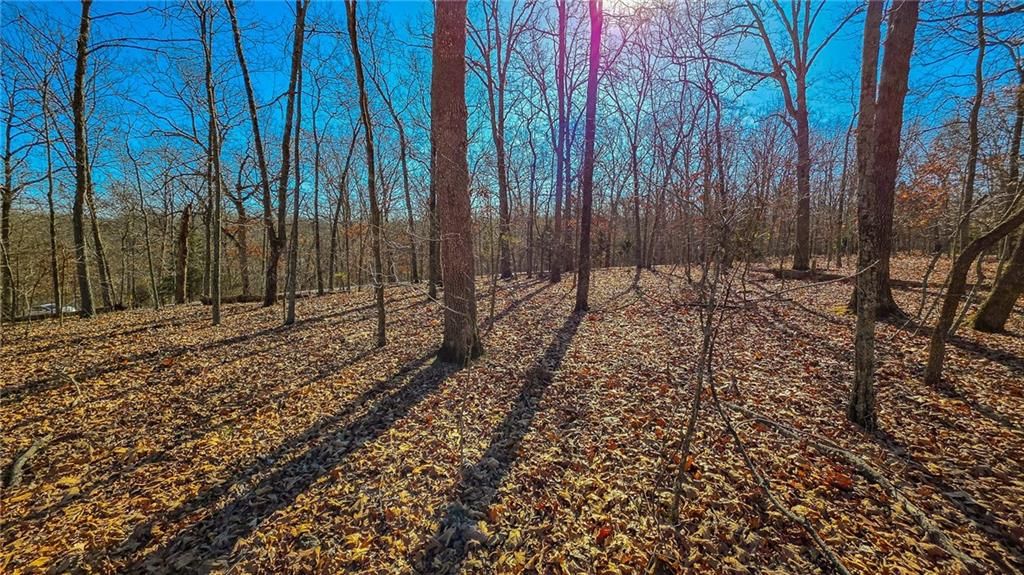 Lot #455 Grand View Drive — photo 10