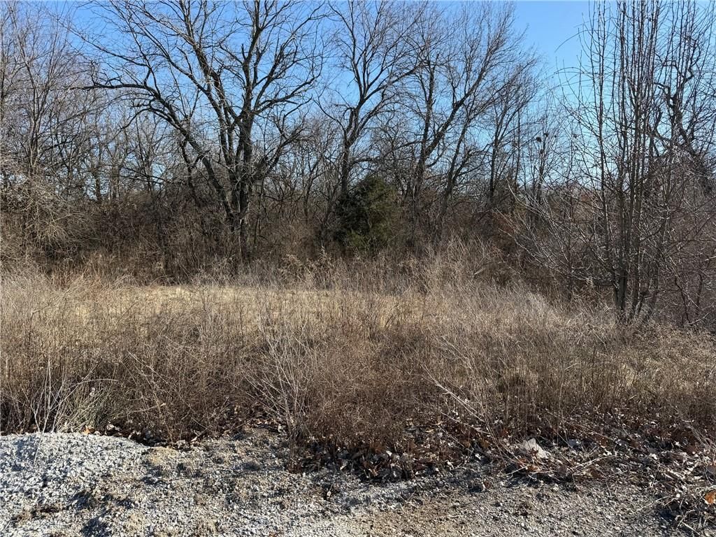 Tract D NW 525th Road — photo 13