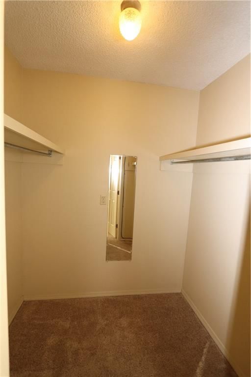 4553 E Bramble Lane — photo 12