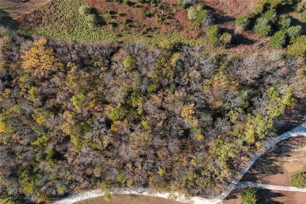 2.96 acres Morning Deer Drive — photo 8