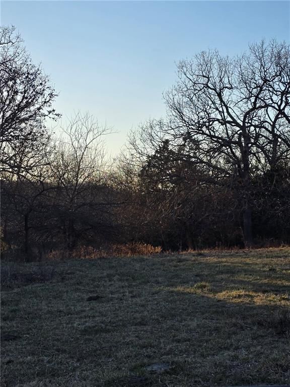 000 SW 51 40+/- Acres Road — photo 6