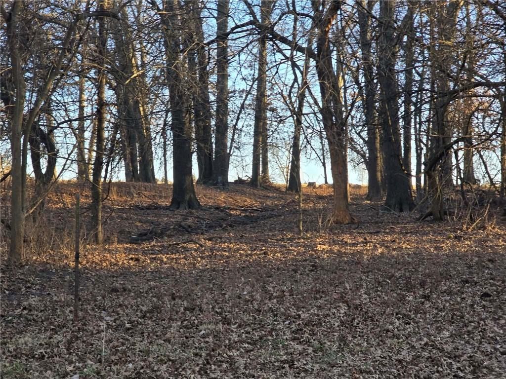 000 SW 51 40+/- Acres Road — photo 11