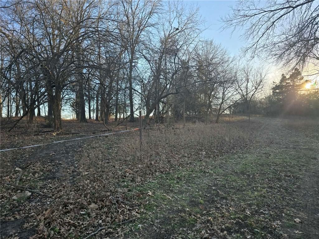 000 SW 51 40+/- Acres Road — photo 13