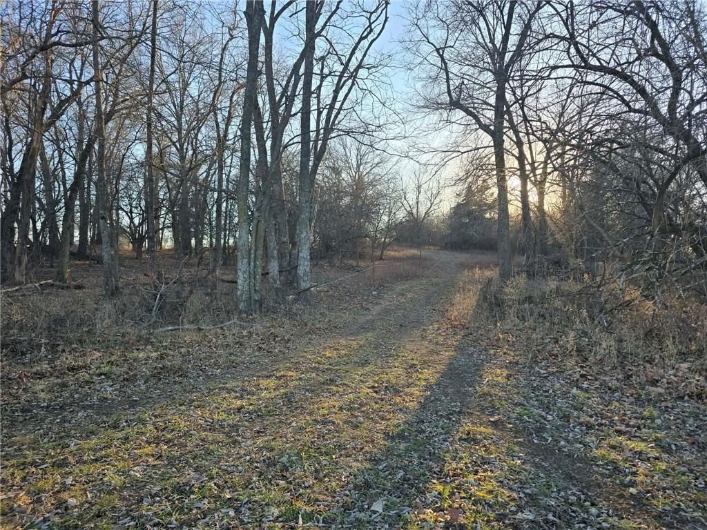 000 SW 51 40+/- Acres Road — photo 15