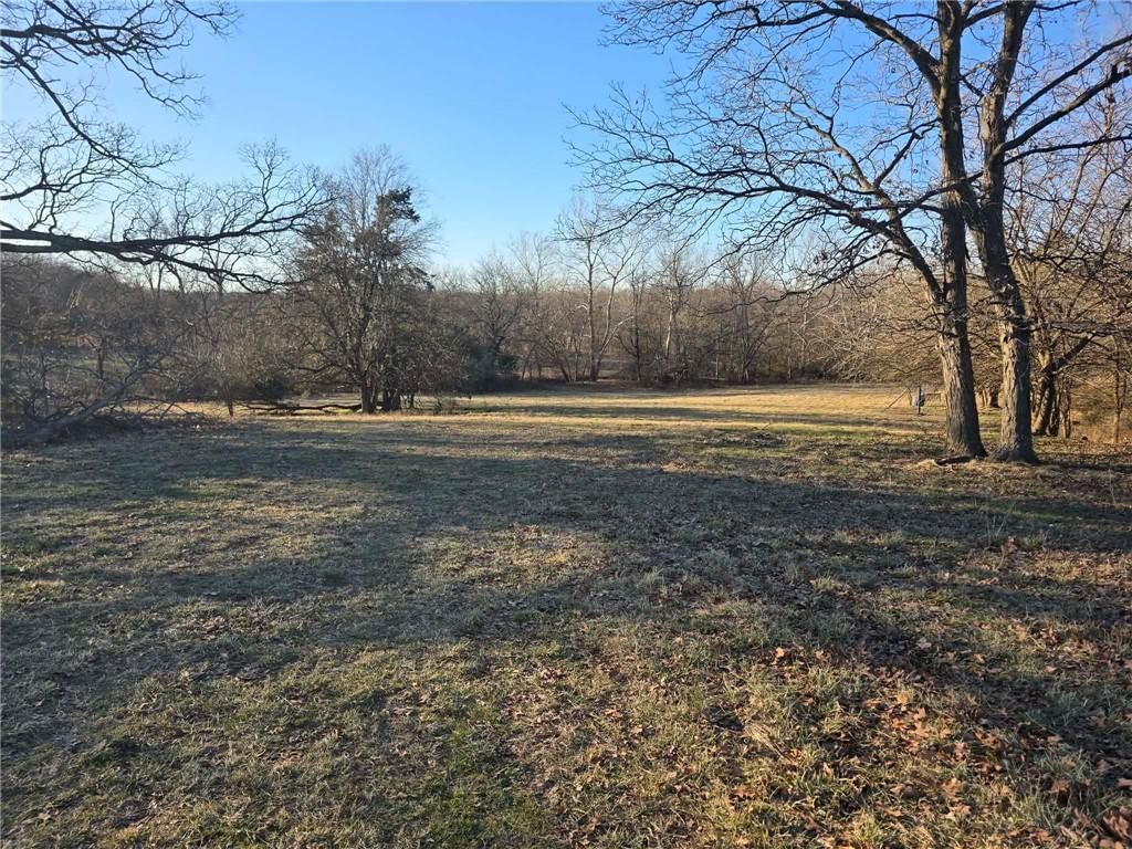 000 SW 51 40+/- Acres Road — photo 23