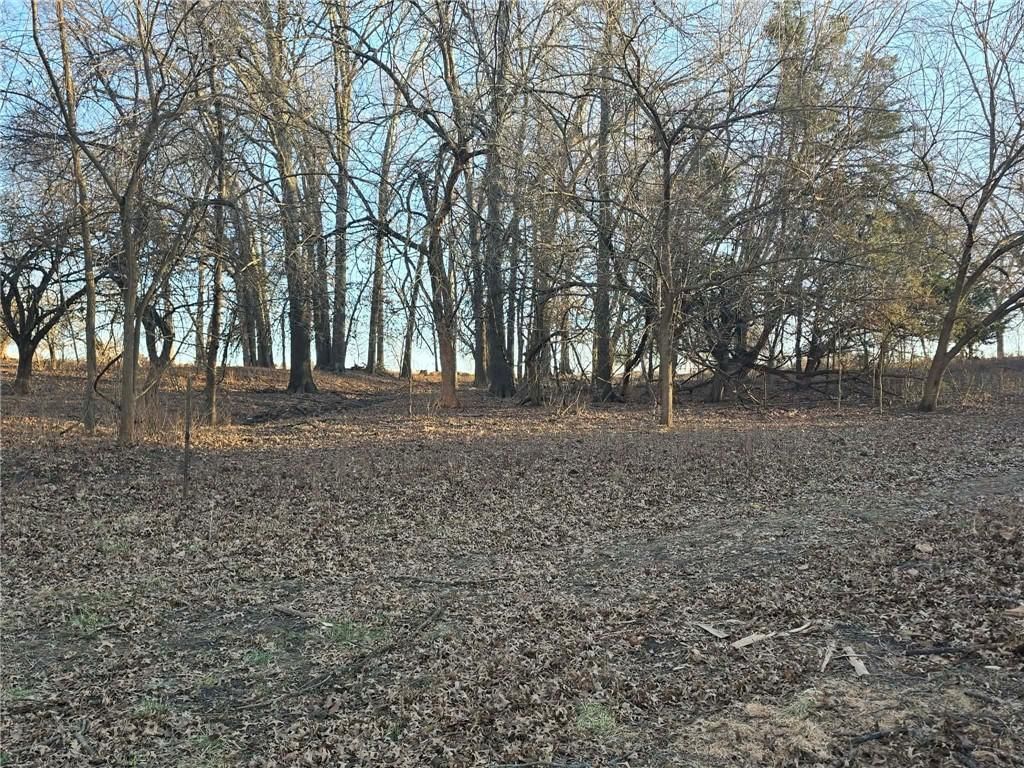 000 SW 51 40+/- Acres Road — photo 24