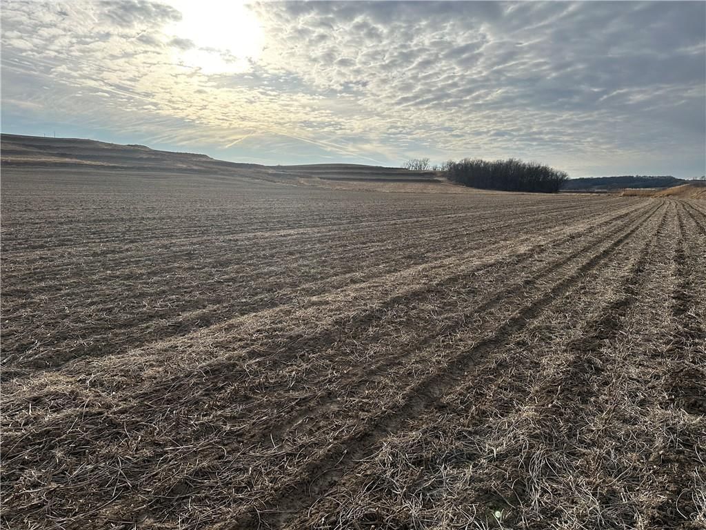 Atchison-Holt Road — photo 7