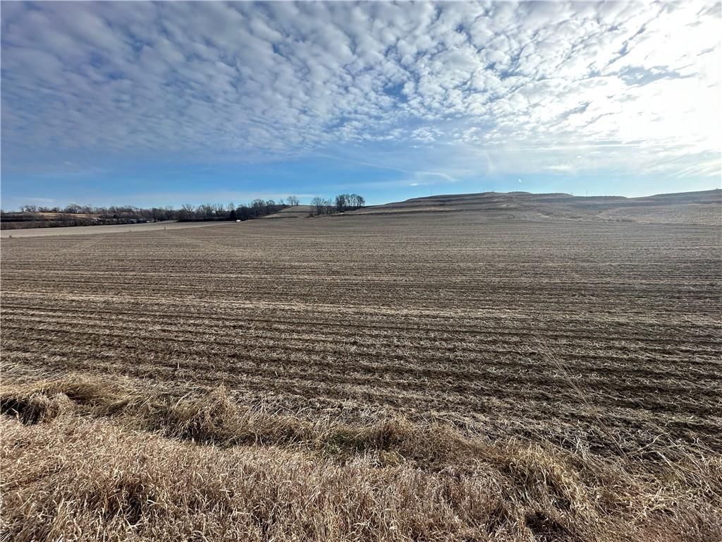Atchison-Holt Road — photo 8