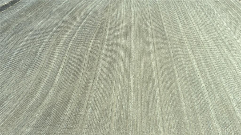 Atchison-Holt Road — photo 11