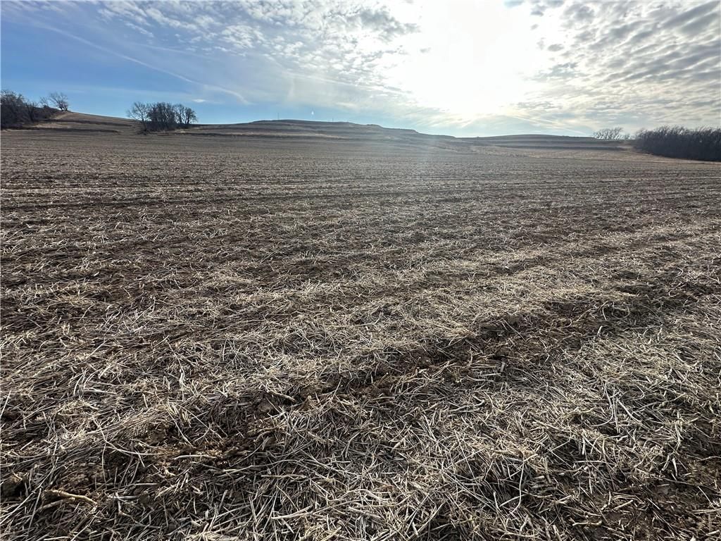 Atchison-Holt Road — photo 26