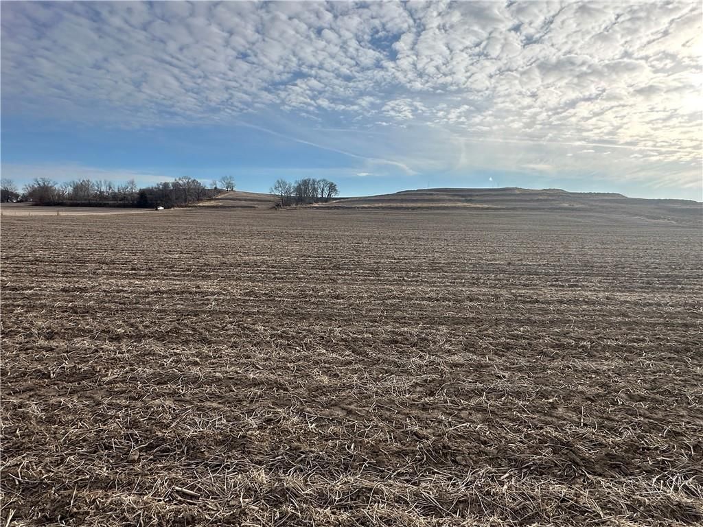 Atchison-Holt Road — photo 28