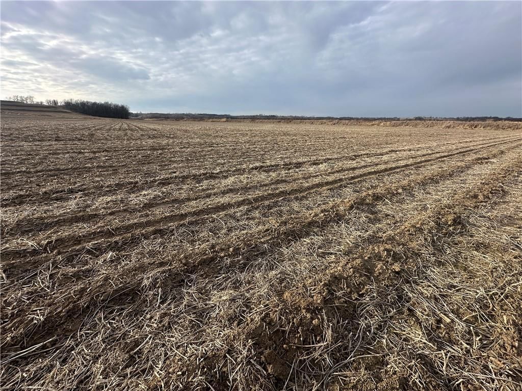 Atchison-Holt Road — photo 29