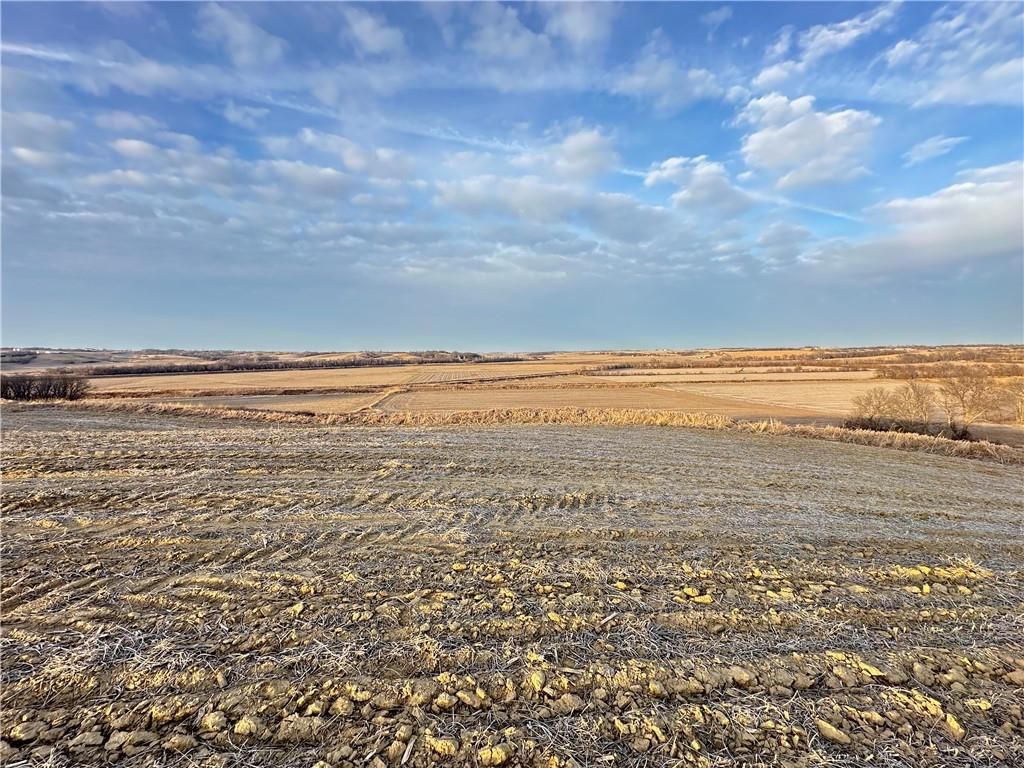 Atchison-Holt Road — photo 30