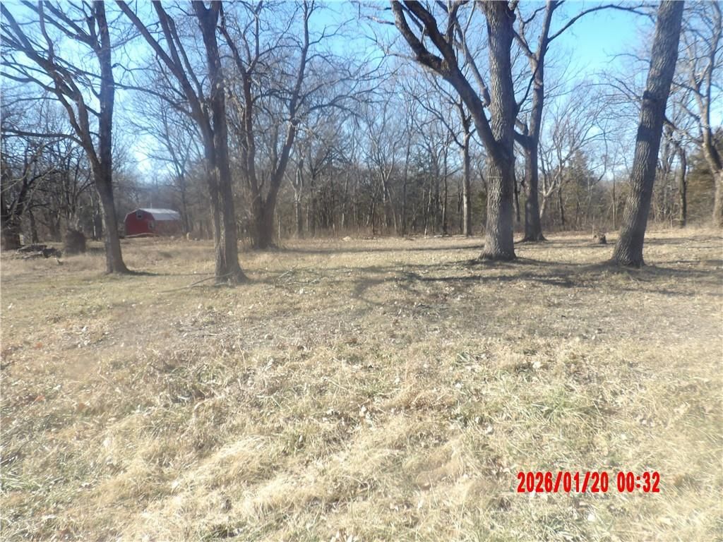 5 & 9 Walnut Drive — photo 8