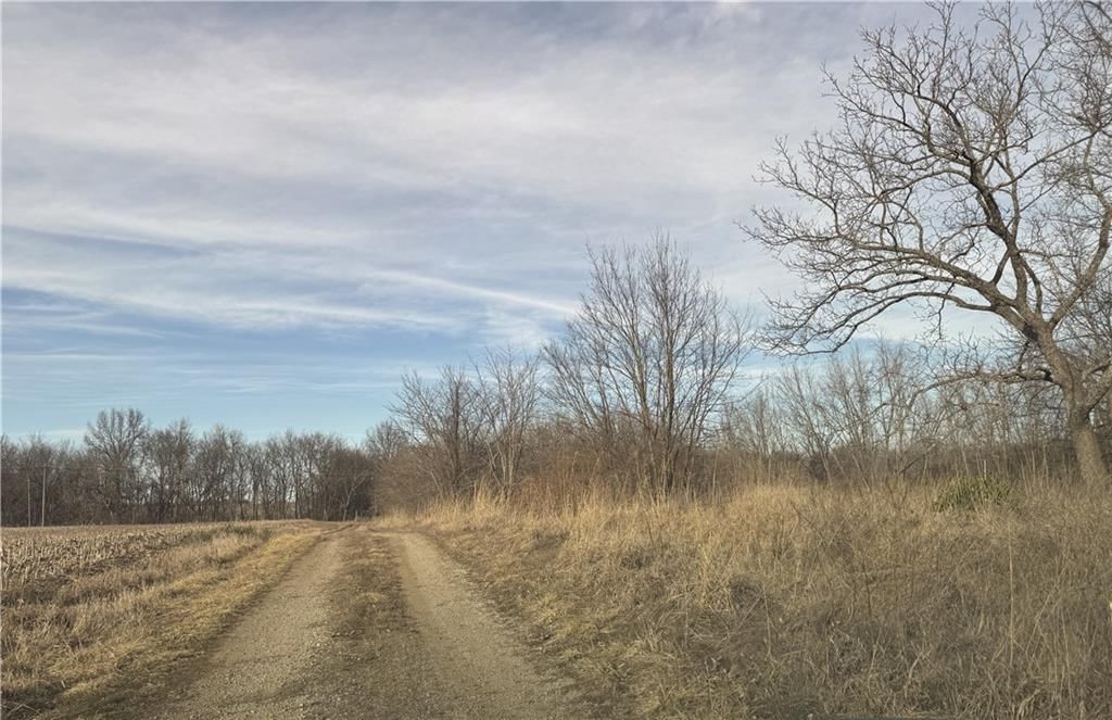 10009 NE County Rd 13004 Road — photo 4