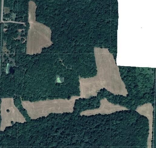 10009 NE County Rd 13004 Road — photo 6