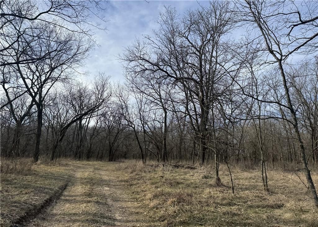 10009 NE County Rd 13004 Road — photo 12