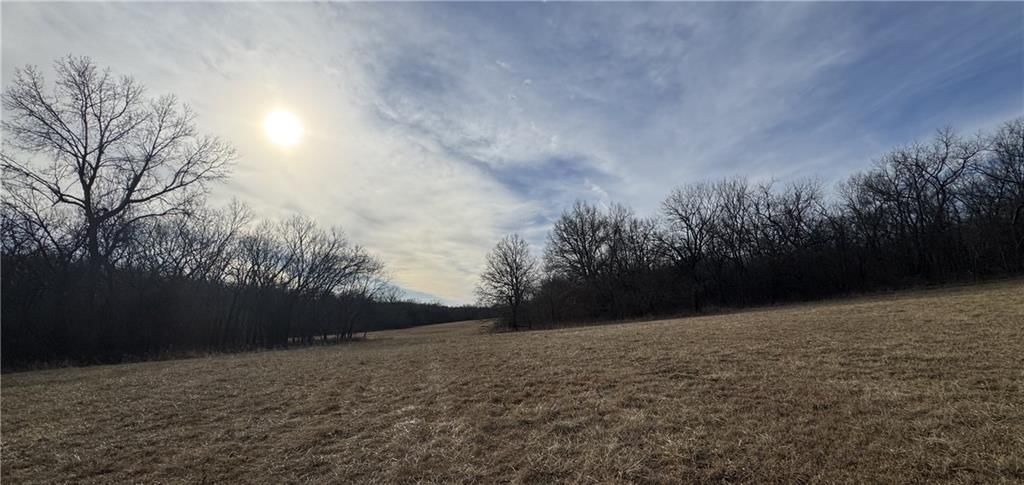 10009 NE County Rd 13004 Road — photo 22