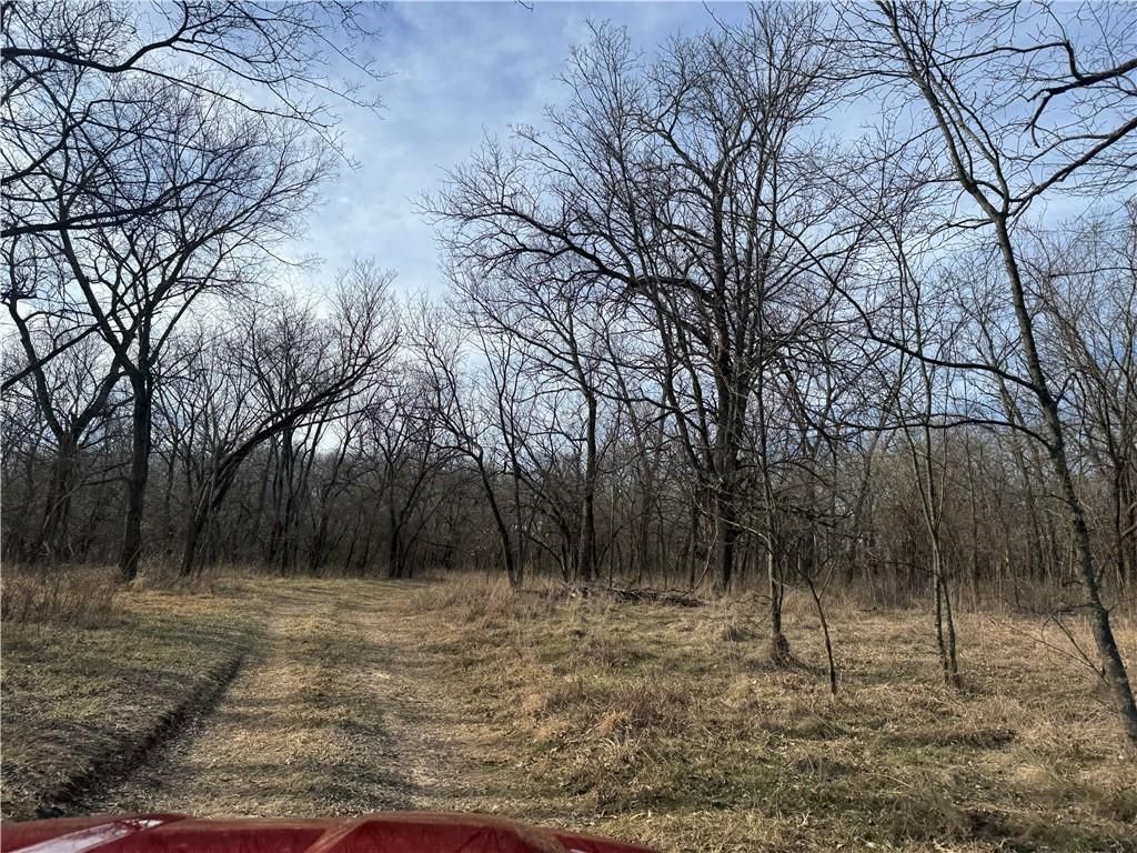 10009 NE County Rd 13004 Road — photo 25