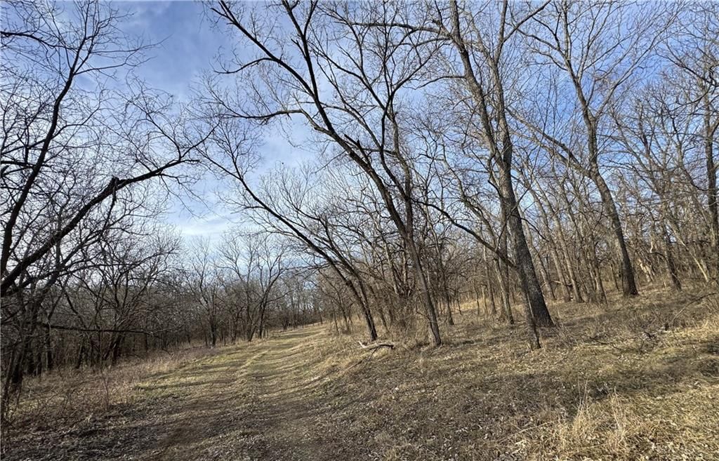 10009 NE County Rd 13004 Road — photo 29