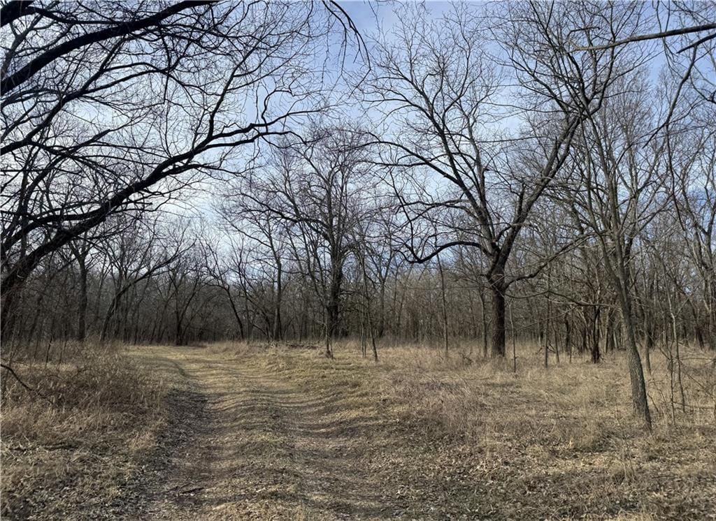 10009 NE County Rd 13004 Road — photo 33