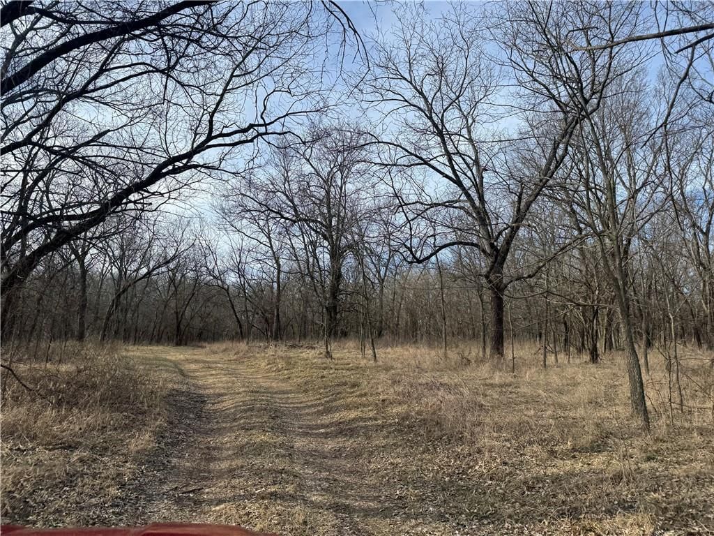 10009 NE County Rd 13004 Road — photo 37