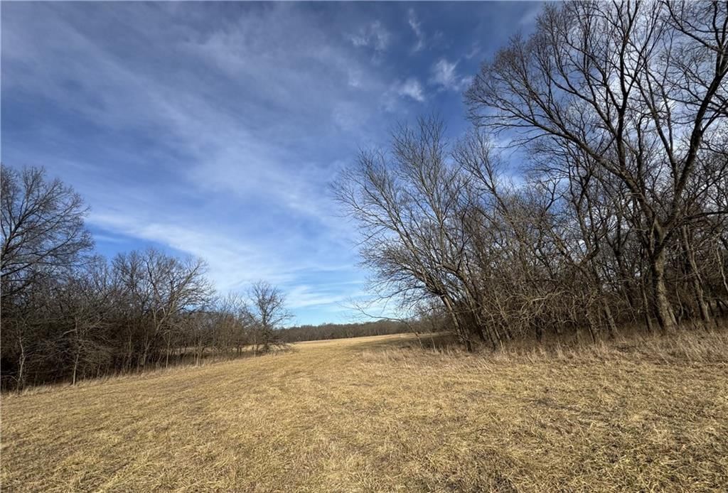 10009 NE County Rd 13004 Road — photo 40