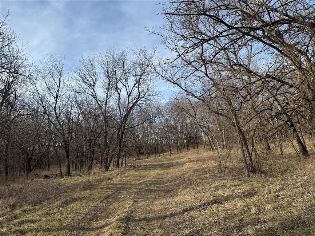 10009 NE County Rd 13004 Road — photo 42