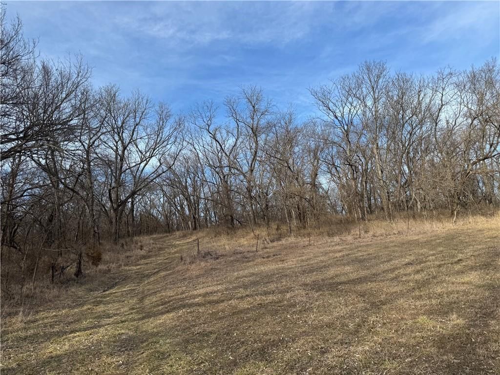10009 NE County Rd 13004 Road — photo 46