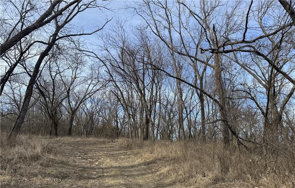 10009 NE County Rd 13004 Road — photo 47