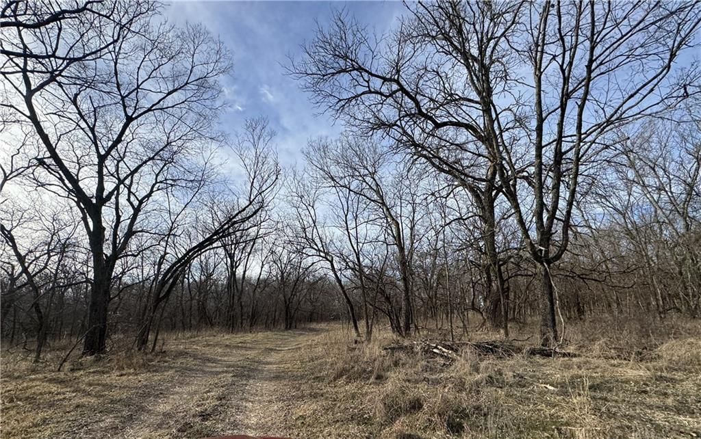 10009 NE County Rd 13004 Road — photo 48