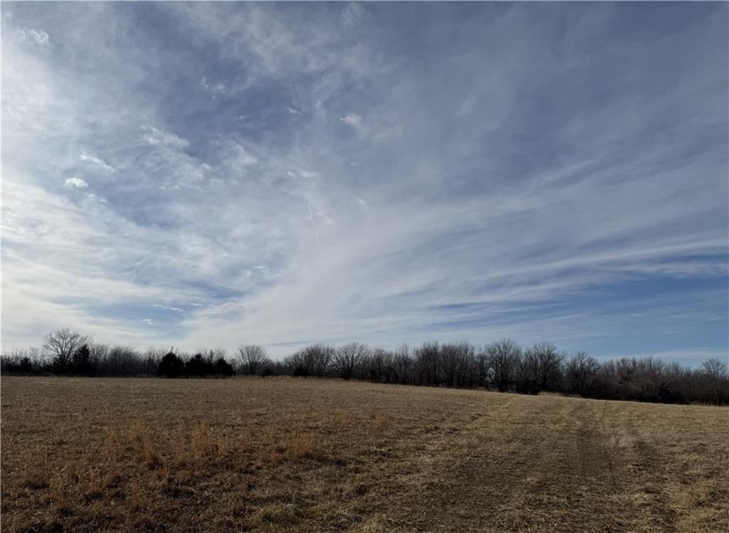 10009 NE County Rd 13004 Road — photo 52