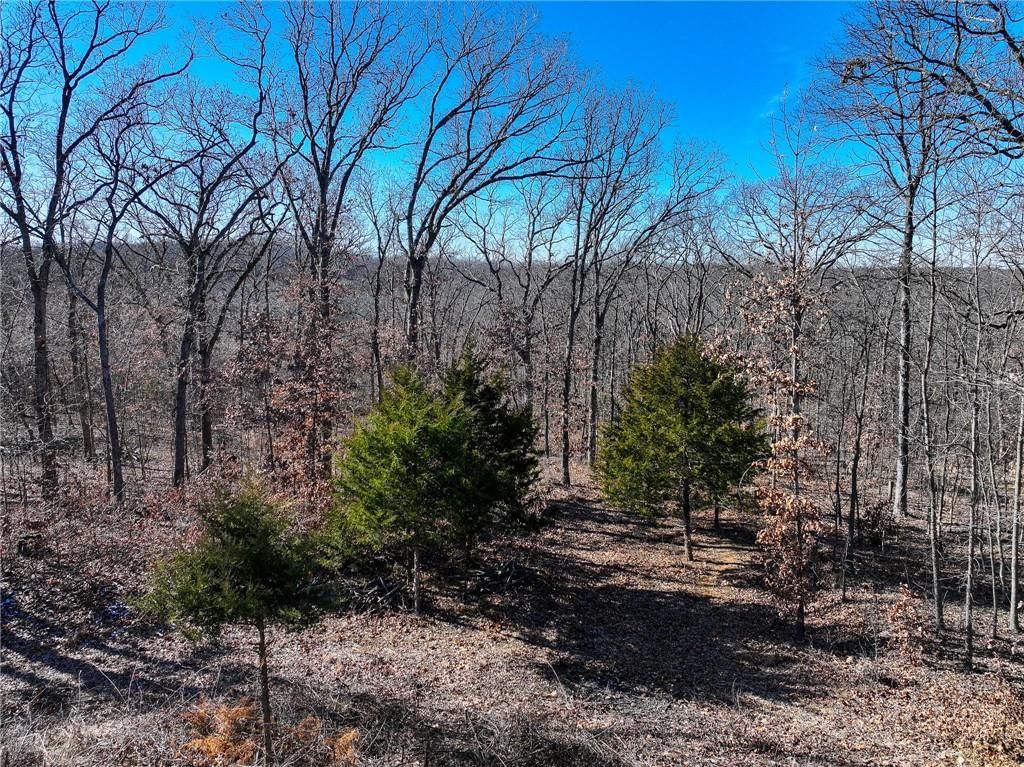 10305 NE 1387 Private Road — photo 45