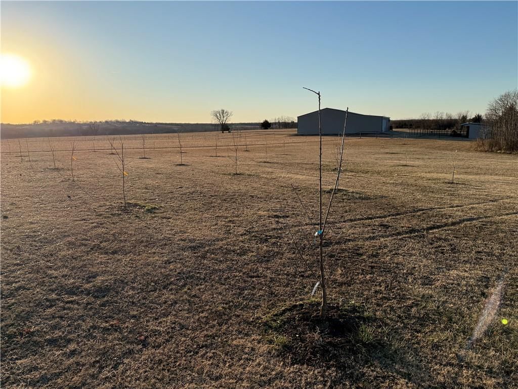 687 CR 3425 Road — photo 58