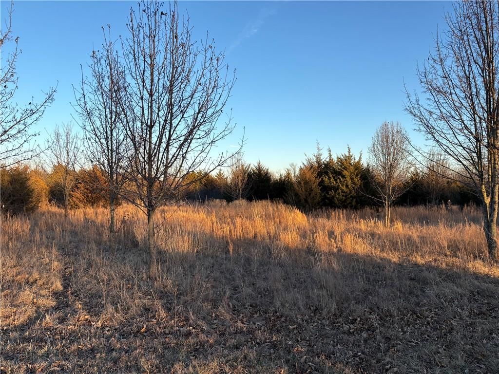 34 & 38 Louisiana Drive — photo 2