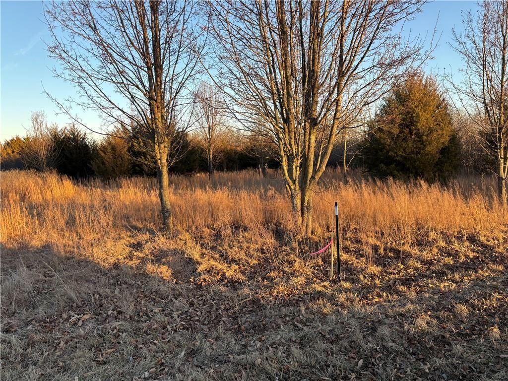 34 & 38 Louisiana Drive — photo 3