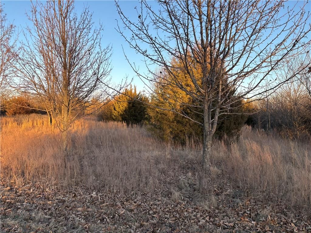 34 & 38 Louisiana Drive — photo 4