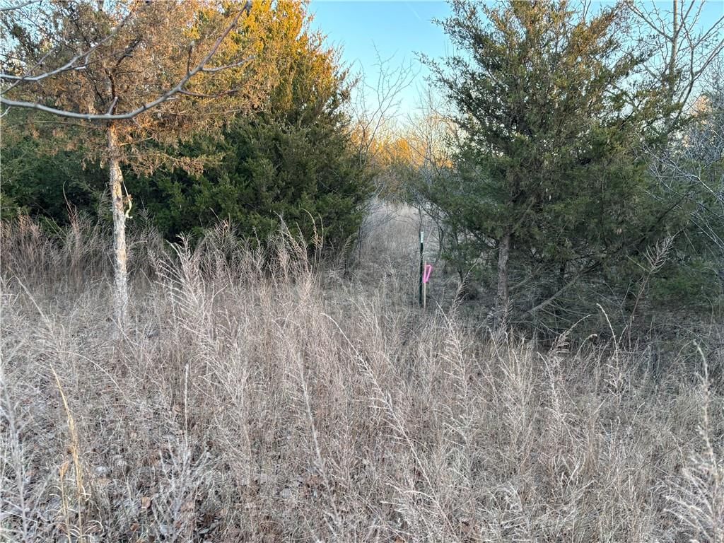 34 & 38 Louisiana Drive — photo 6