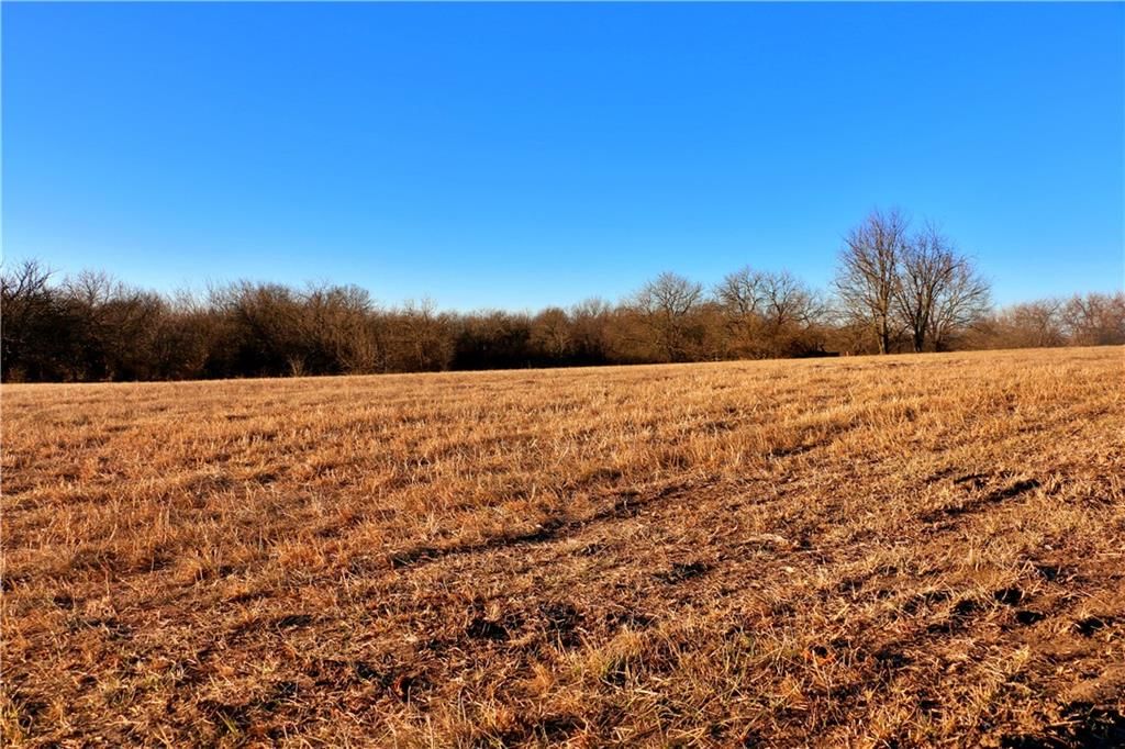 SW 1200th Rd Road — photo 14